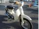 ホンダ リトルカブ50