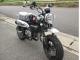 ホンダ モンキー125新車